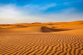 Desert Precipitation, Plant, and Animal Life